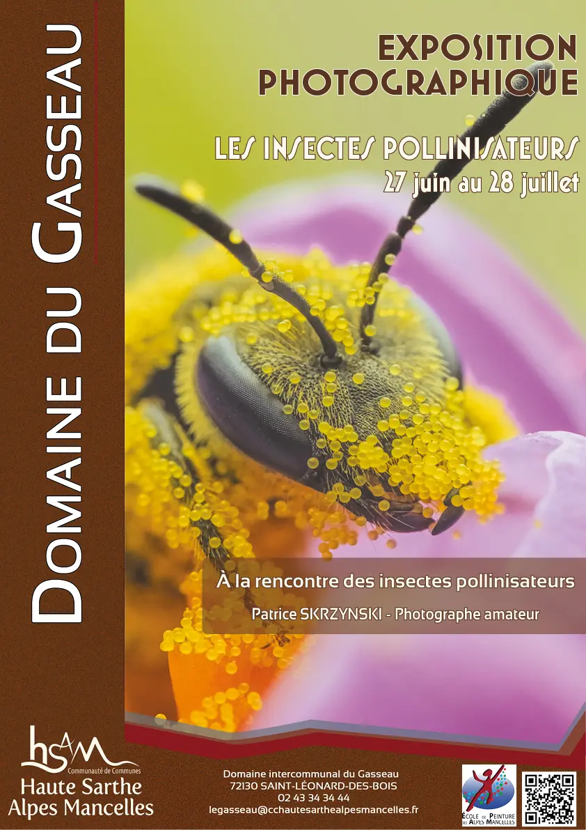 Exposition Les insectes pollinisateurs - Domaine du Gasseau - été 2026