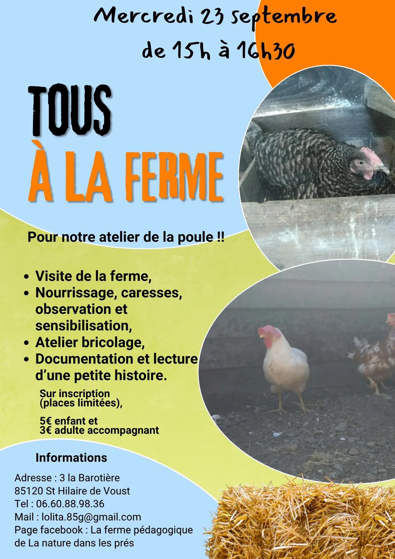 Affiche atelier de la poule