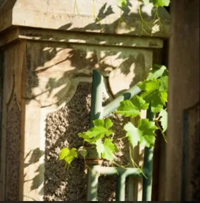 AfterworkLaRagotière_LaRegrippière_2025_DestinationVignobleNantais.com