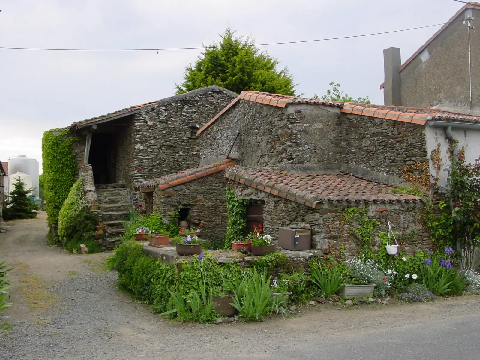Le pé de Sèvre. Habitation vigneronne typique.