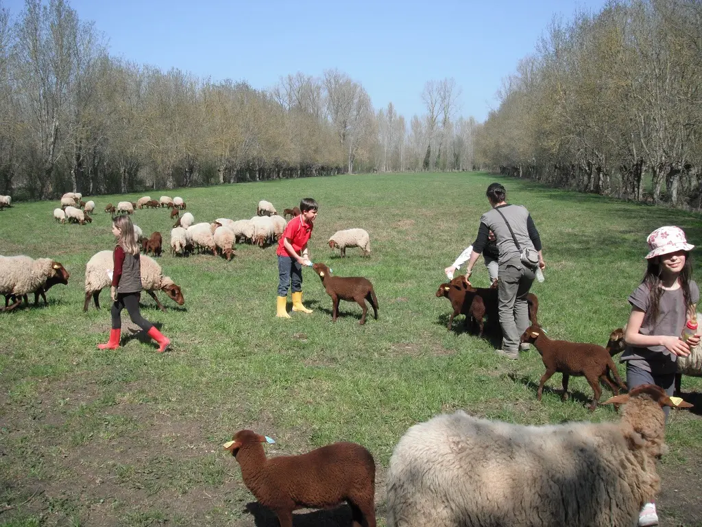 Atelier du Petit Fermier - Ferme Pédagogique du Marais