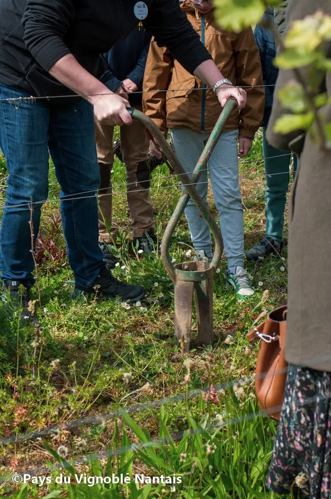 parcours touche à tout au musée du vignoble nantais