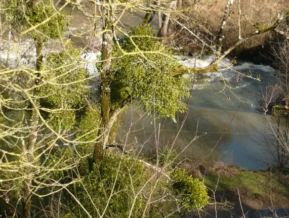 BaladeCulturelle-LePallet_2024_levignobledenantes-tourisme.com