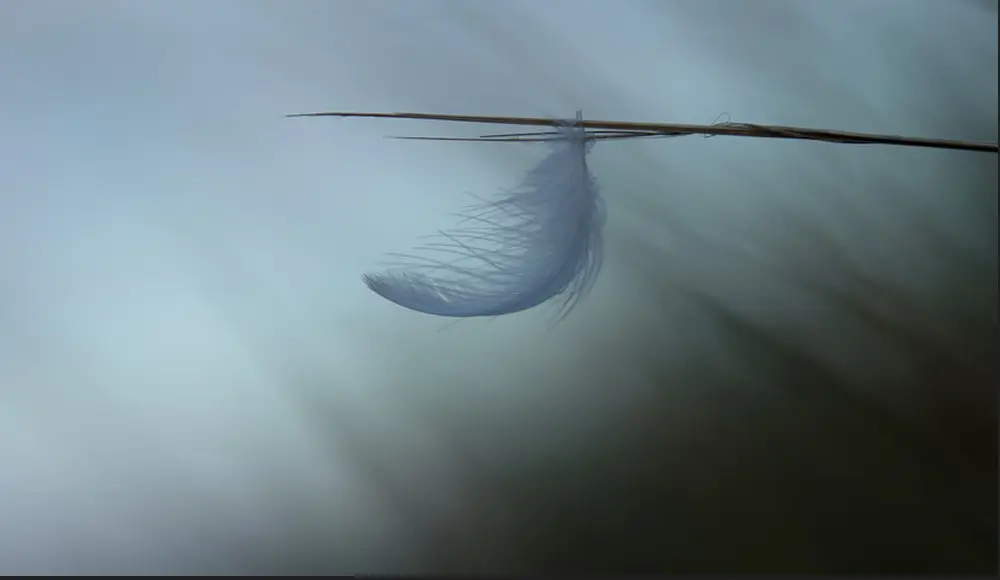 BaladephotoMinimalisme_Gétigné_2025_DestinationVignobleNantais.com