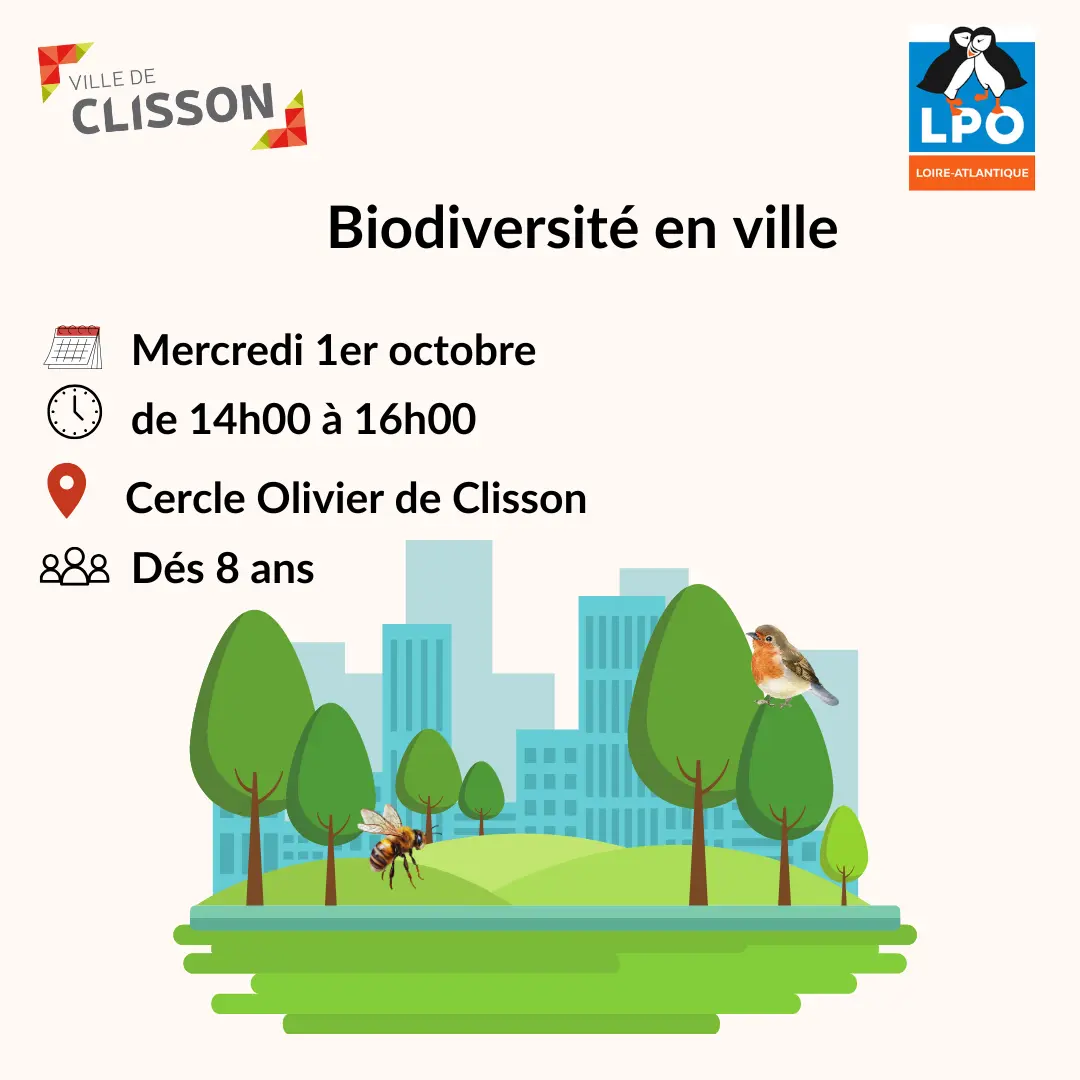 Animation biodiversité en ville