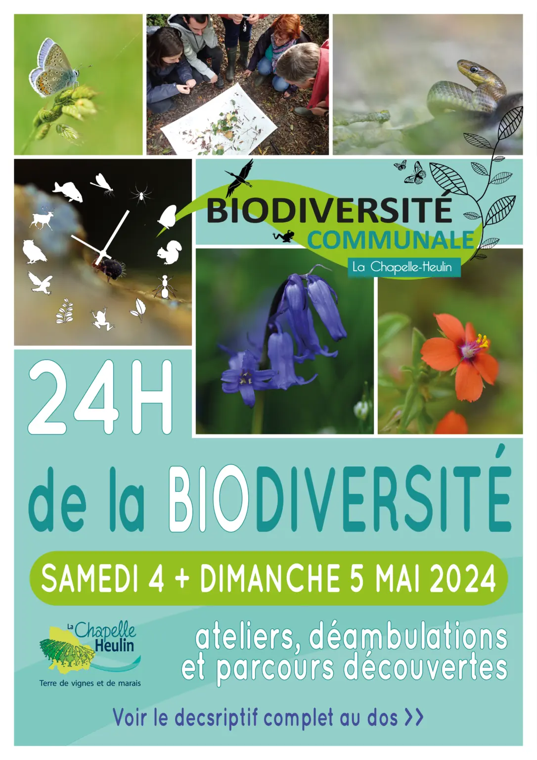 Biodiversitécommunale_LaChapelleHeulin_2024_levignobledenantes-tourisme.com