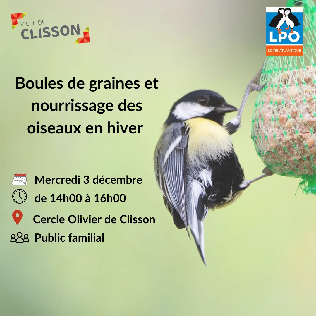 Atelier boules de graines pour les oiseaux