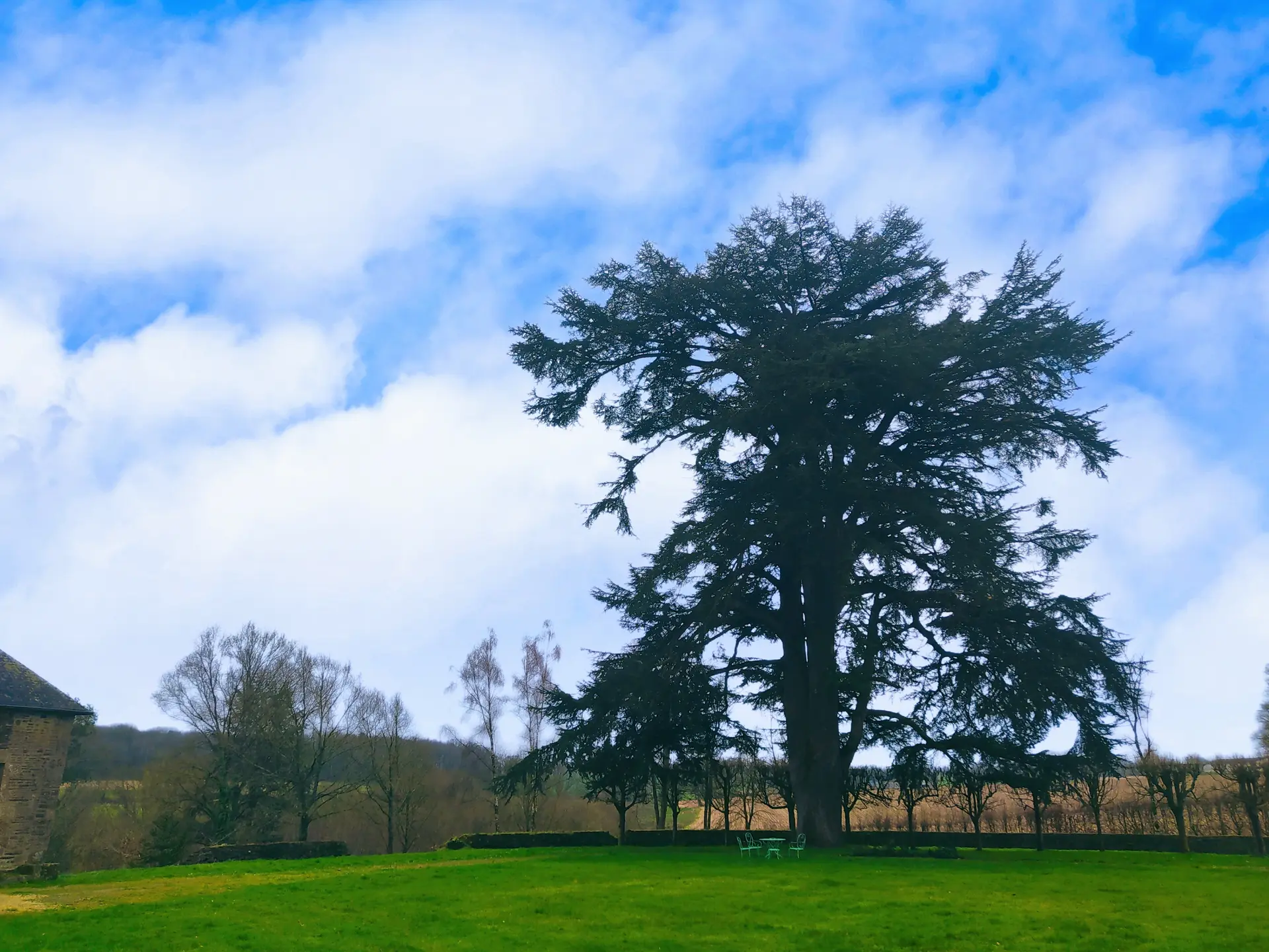 Chateau de Goue Fougerolles du Plessis 53 © bocage mayennais - 6