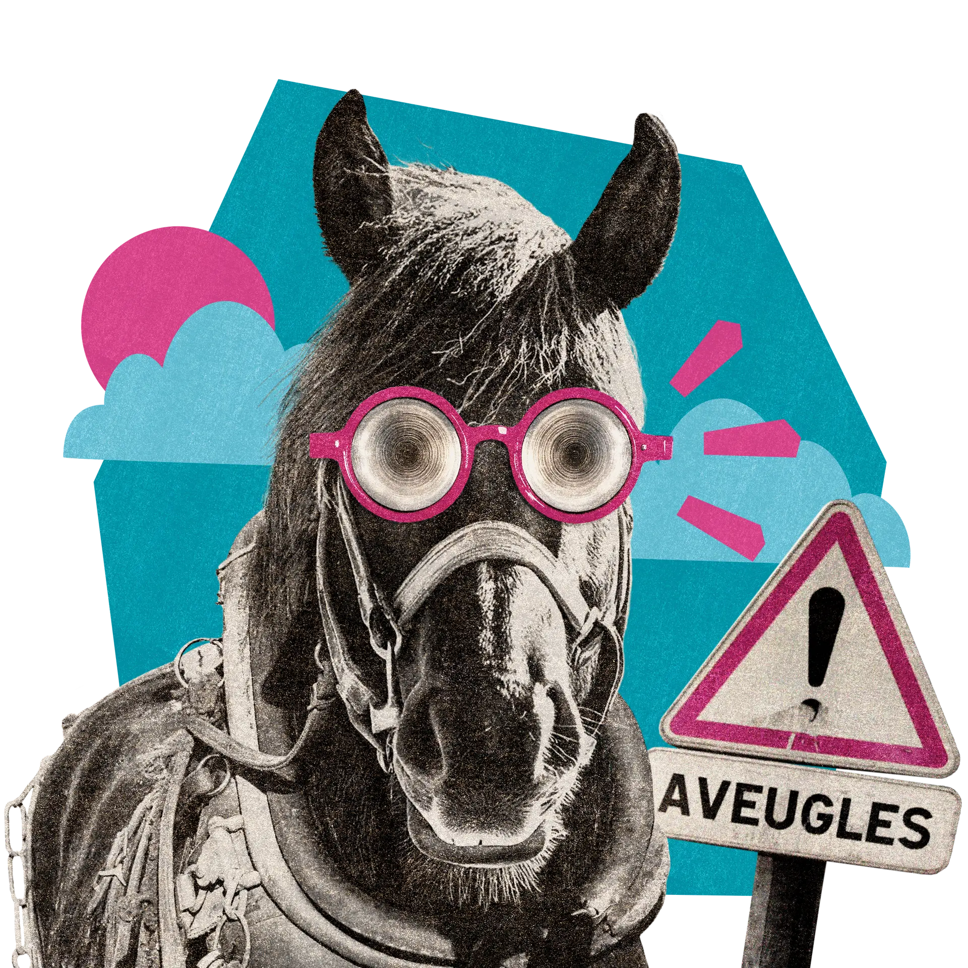 LA MINE INFO OU INTOX - Cheval