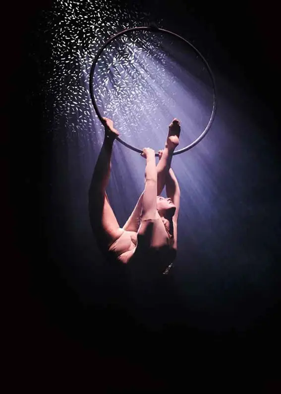 Cirque Danse Paradisum fontenay-le-comte 2026