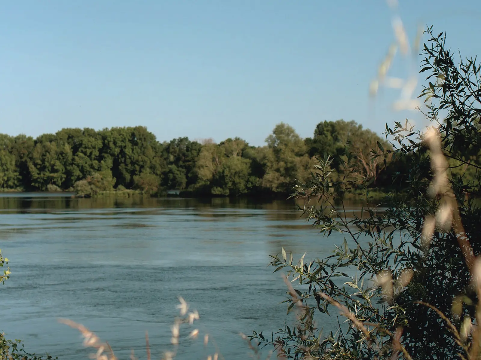 Conference Ré-équilibrer la Loire