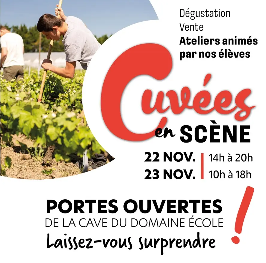 Cuvée Briacé_LeLandreau_2024_levignobledenantes-tourisme.com