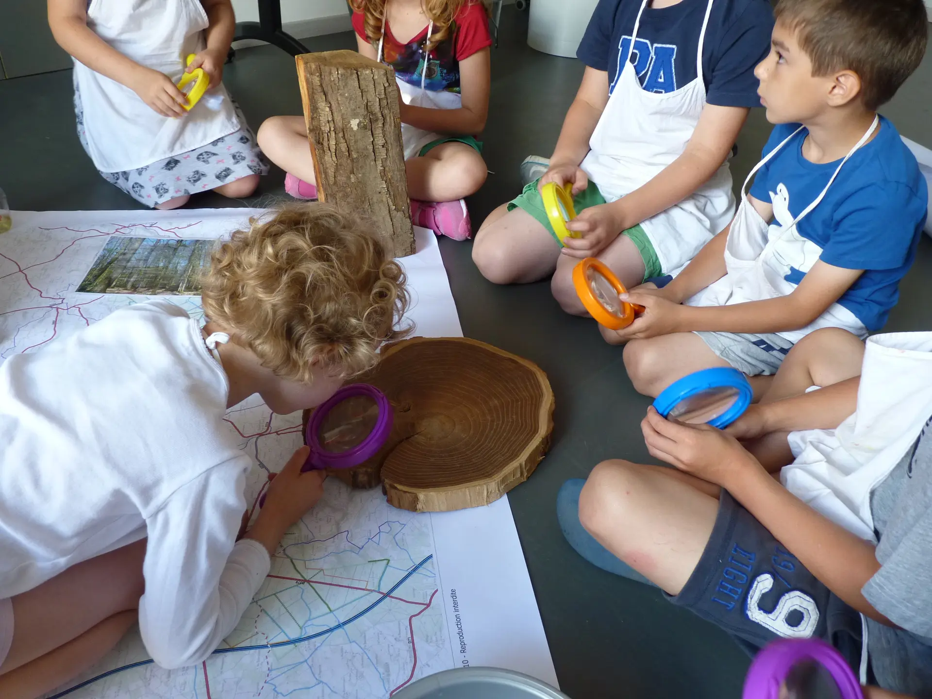 De la petite graine à l'arbre_Atelier enfant