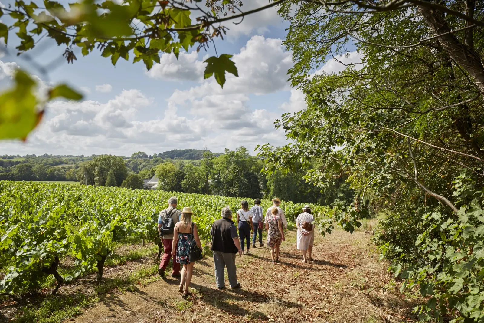 Escapade en muscadet