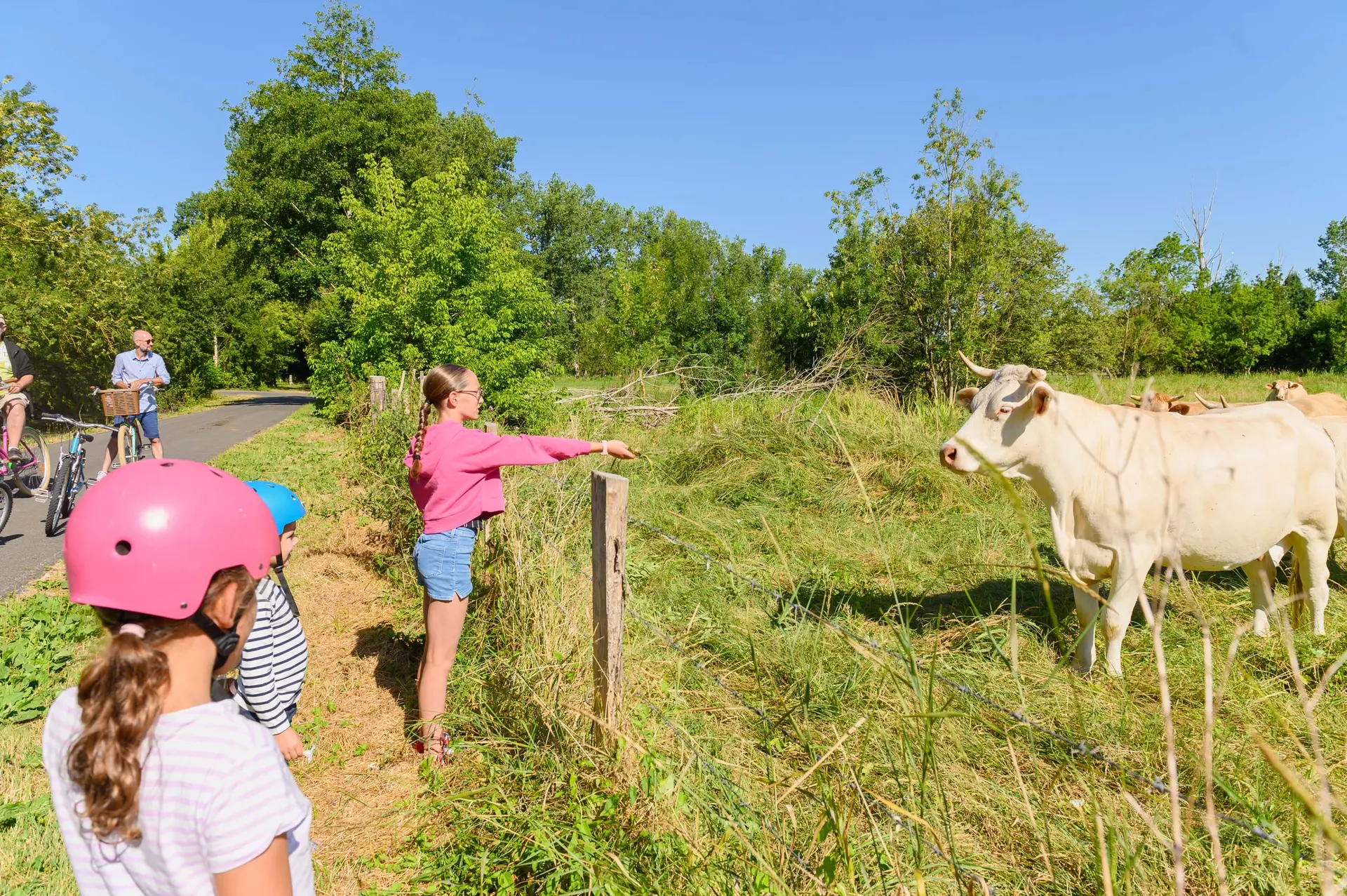 Escapade vélo de la Venise Verte - à la rencontre des animaux locaux