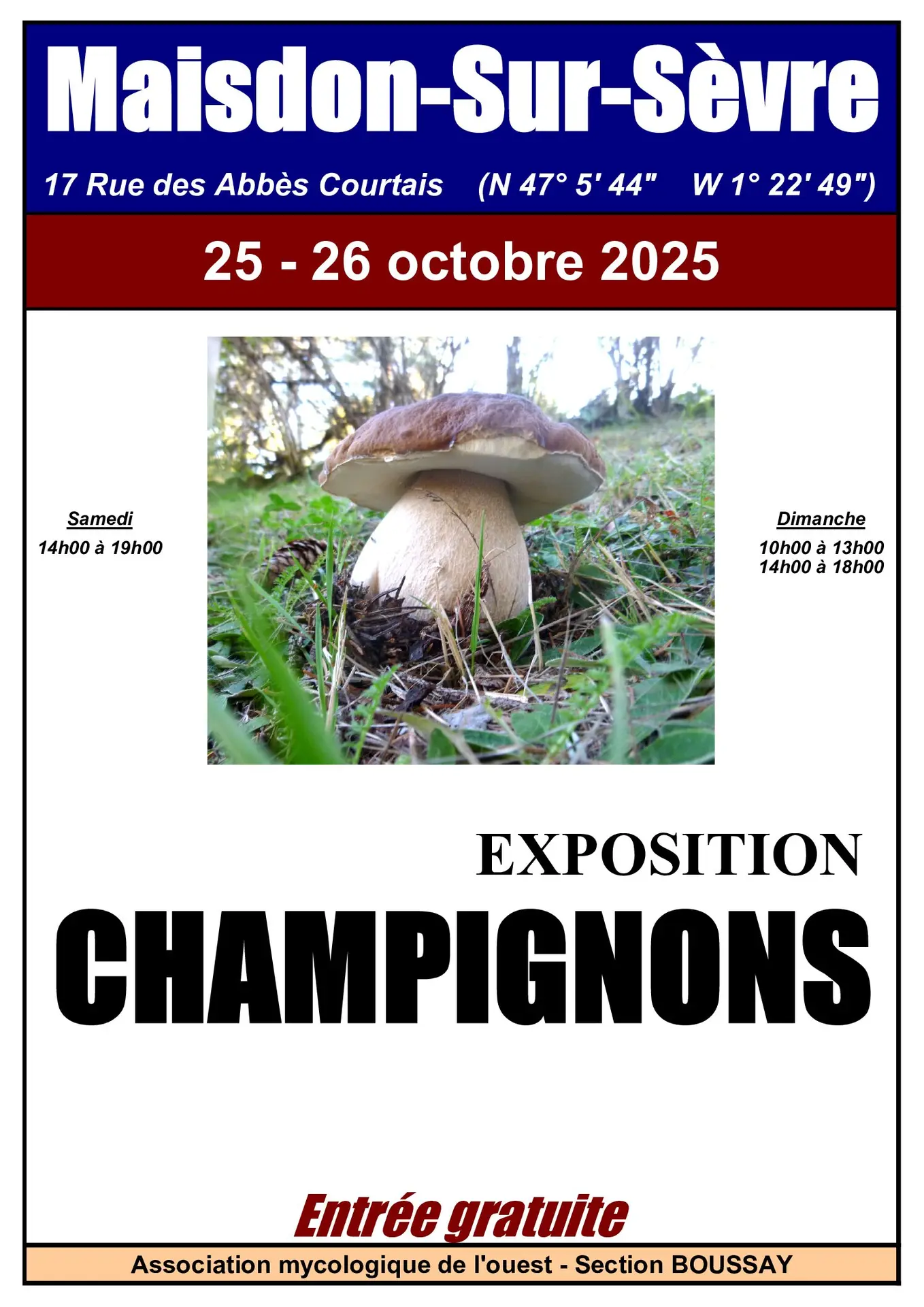 Exposition Champignons