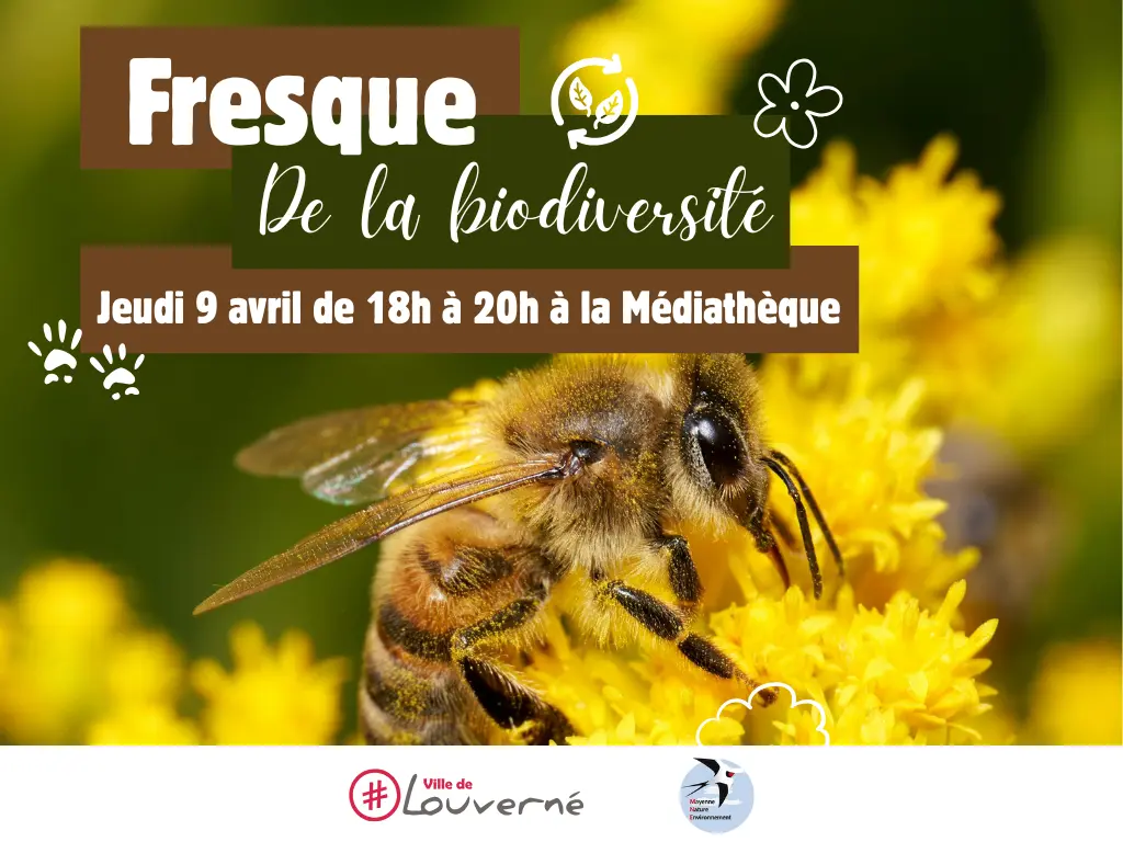 Fresque de la biodiversité