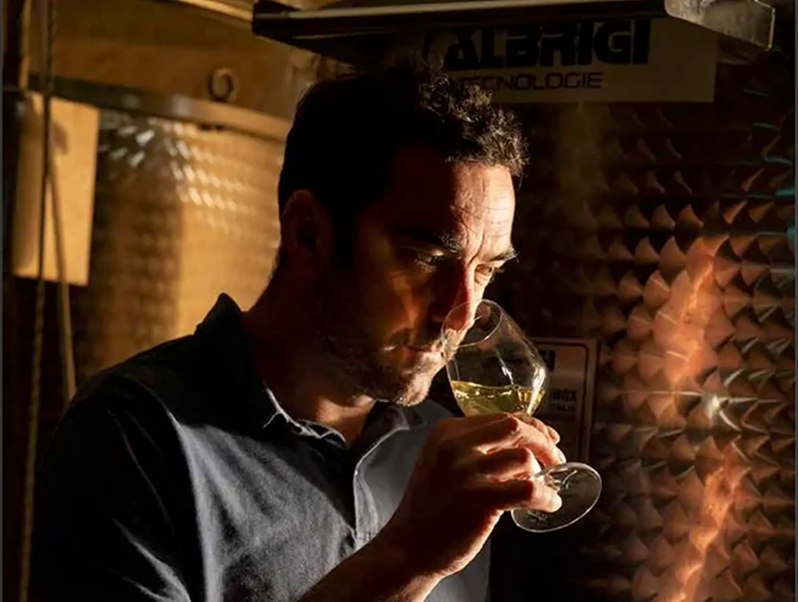 Les nouveaux vignerons bretons