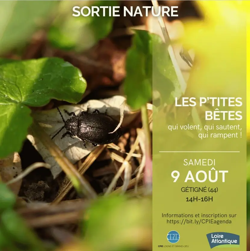 Lesp'titsbêtes_Gétigné_2025_DestinationVignobleNantais.com