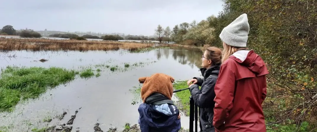 Marais_HauteGoulaine_2025_DestinationVignobleNantais.com