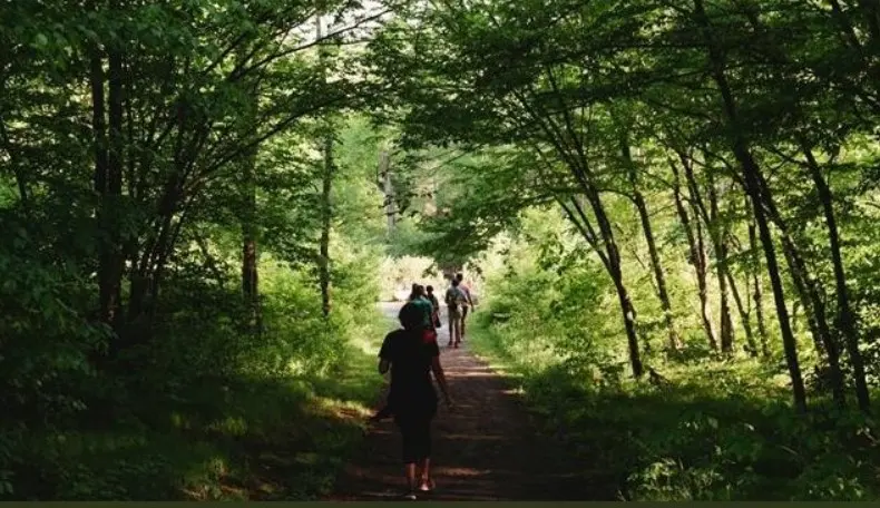 Marche-Remouillé_2024_levignobledenantes-tourisme.com