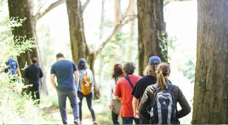 Marche_Vallet_2024_levignobledenantes-tourisme.com