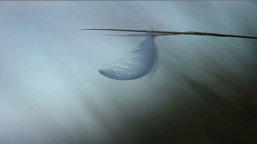 Minimalisme_Clisson_2024_levignobledenantes-tourisme.com