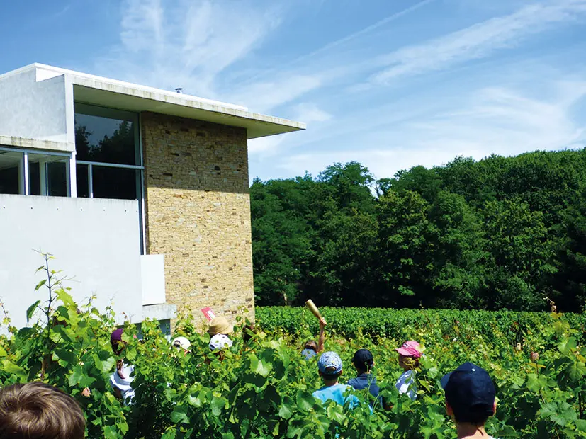 musee du vignoble nantais