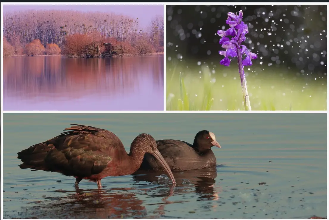 PeintureMarais_HauteGoulaine_2025_DestinationVignobleNantais.com