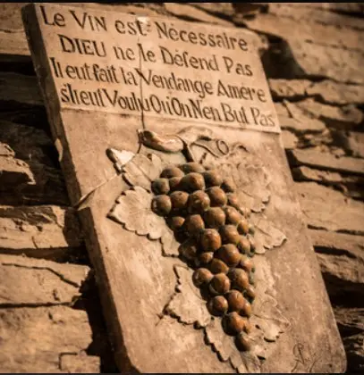 Pique-nique dans les vignes La Ragotière_LaRegrippière_2025_DestinationVignobleNantais.com