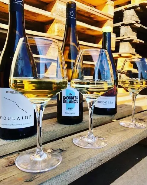 PorteOuverteBonnetHuteau_LaChapelle Heulin_2024_levignobledenantes-tourisme.com