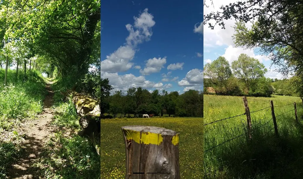 Rando8mai_LaRemaudière_2025_DestinationVignobleNantais.com