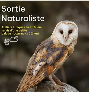 SortieNaturaliste_HauteGoulaine_2025_DestinationVignobleNantais.com