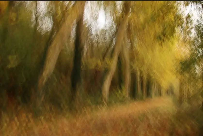 SpécialPhotoCréative_Gétigné_2025_DestinationVignobleNantais