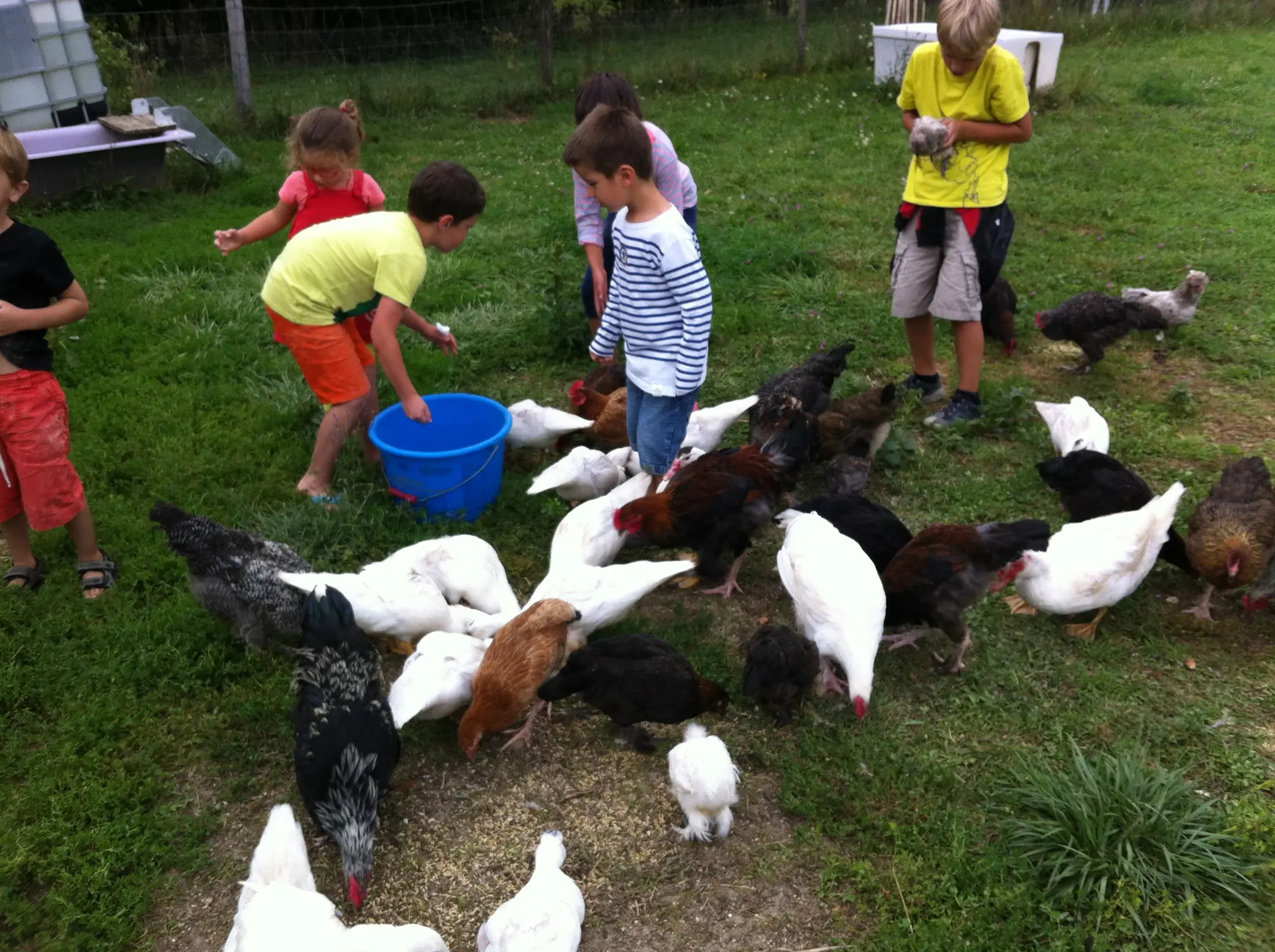 atelier des petits fermiers-LaFermeduMaraispoitevin