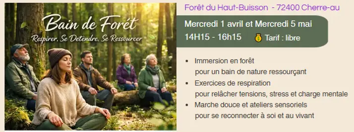 bain de foret