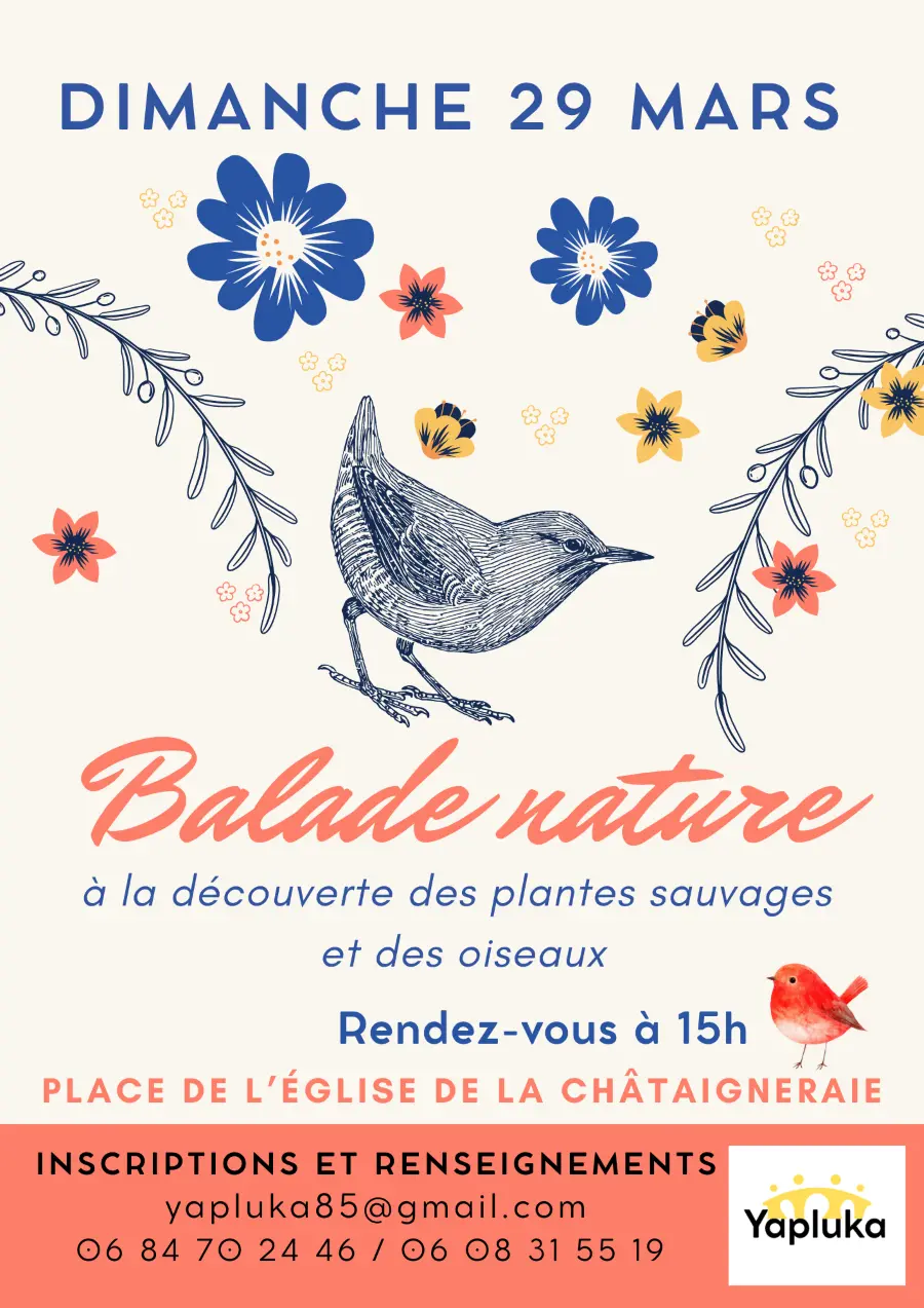 balade nature - La Châtaigneraie - 85