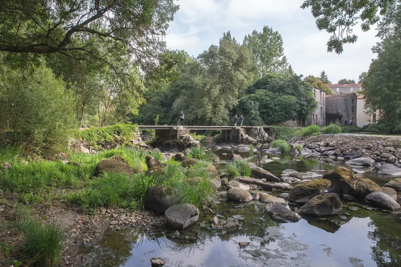 balade-nature-boussay-2025-destination-vignoble-nantais