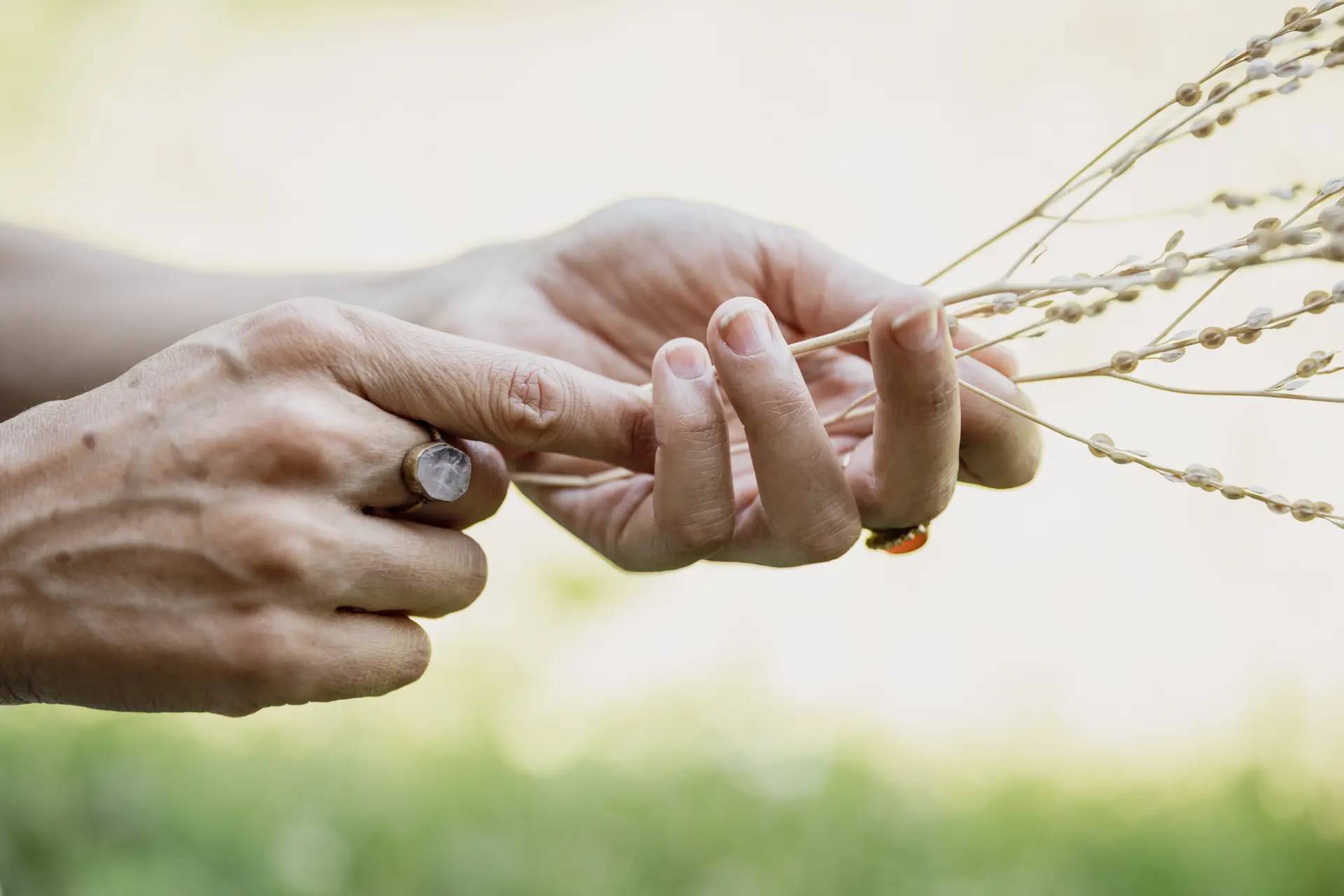 crédits photo sont de Simon Gosselin