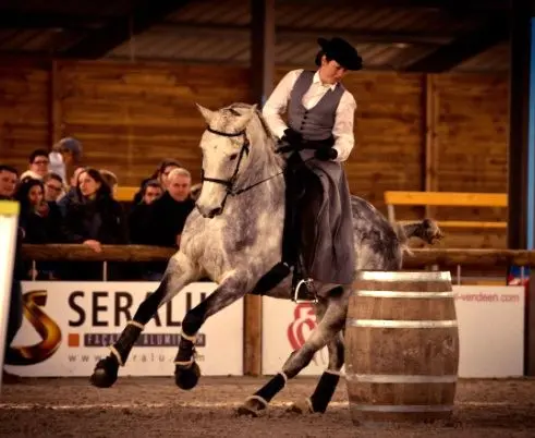 Centre équestre Equifeel