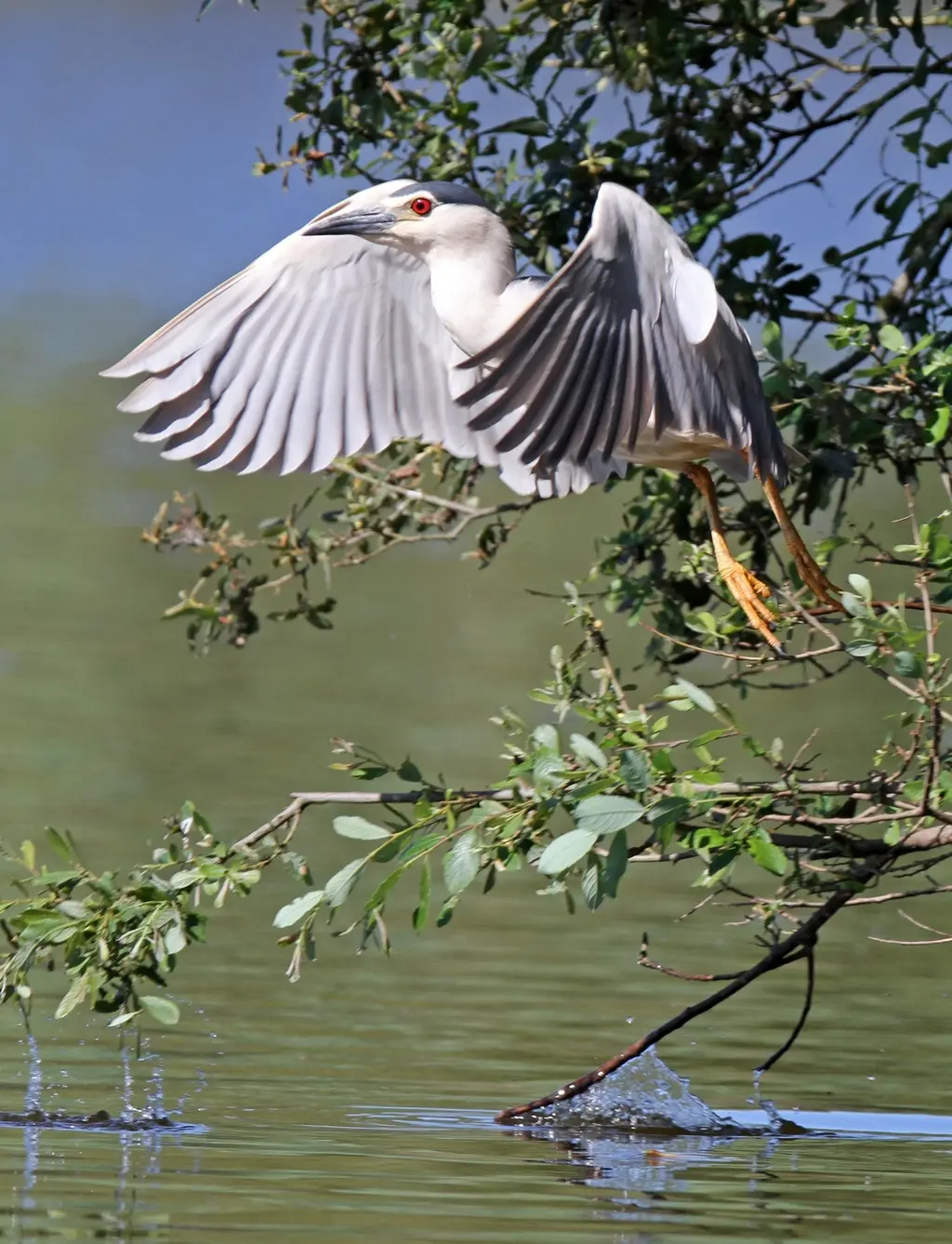 exposition maison bleue 2024 haute goulaine francoise bretagne