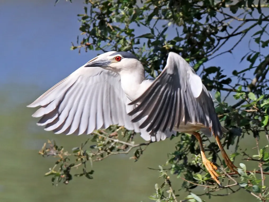exposition maison bleue 2024 haute goulaine francoise bretagne2