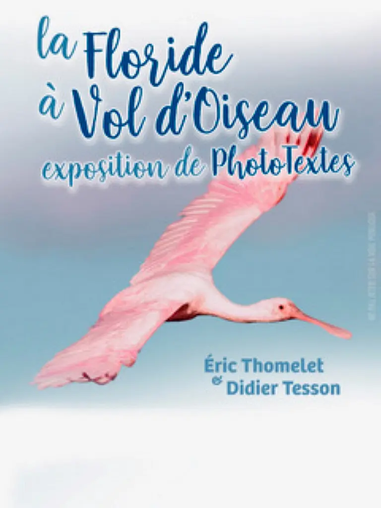 exposition maison bleue 2024 haute goulaineEric Thomelet