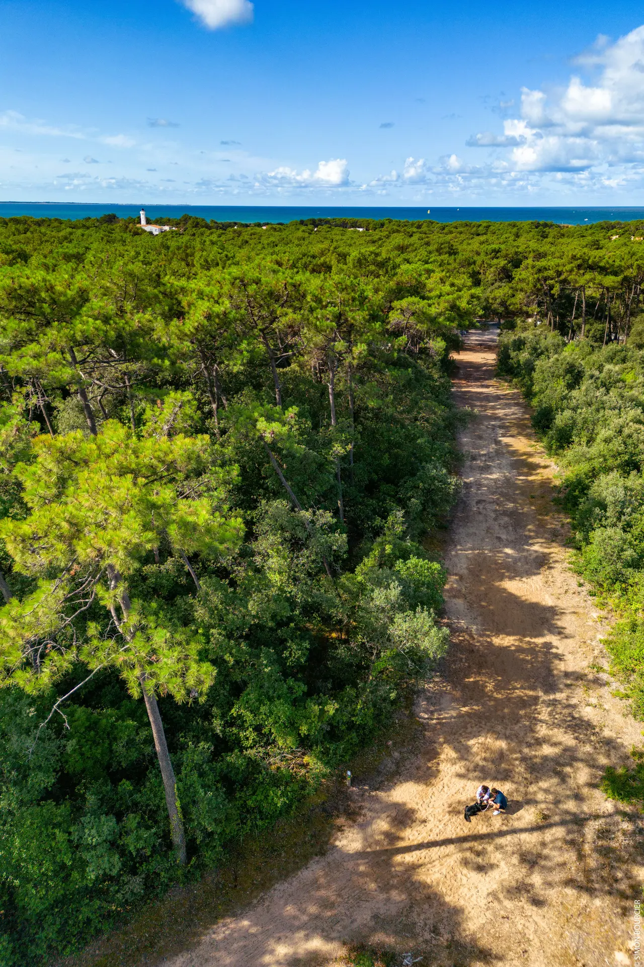 foret_domaniale_la_tranche_sur_mer_04