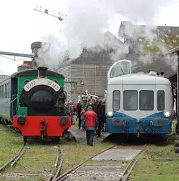 image_2023-04-20_195855721