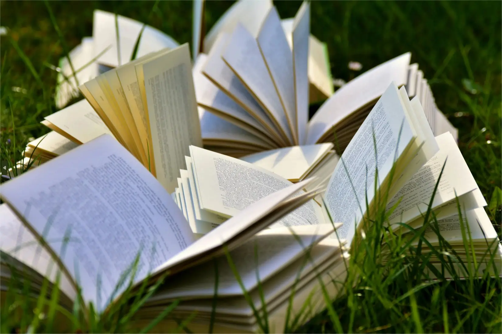 livre