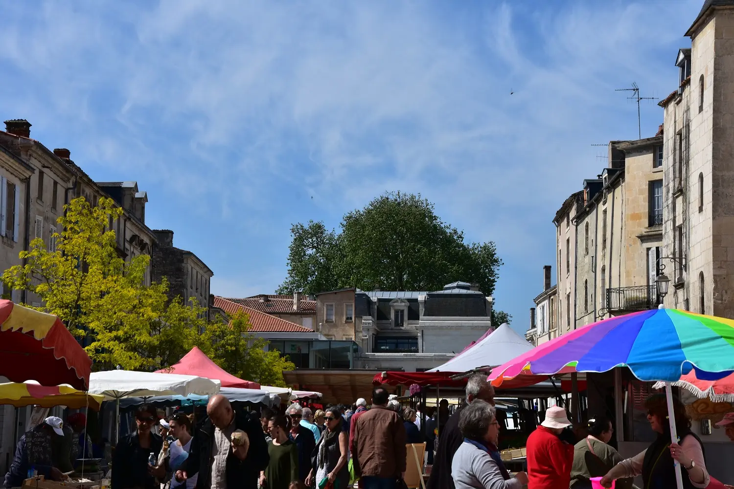 marché-fontenay-le-comte-1©Ronny-Louineau
