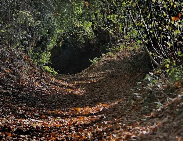 Pierres, feuilles, pinceaux