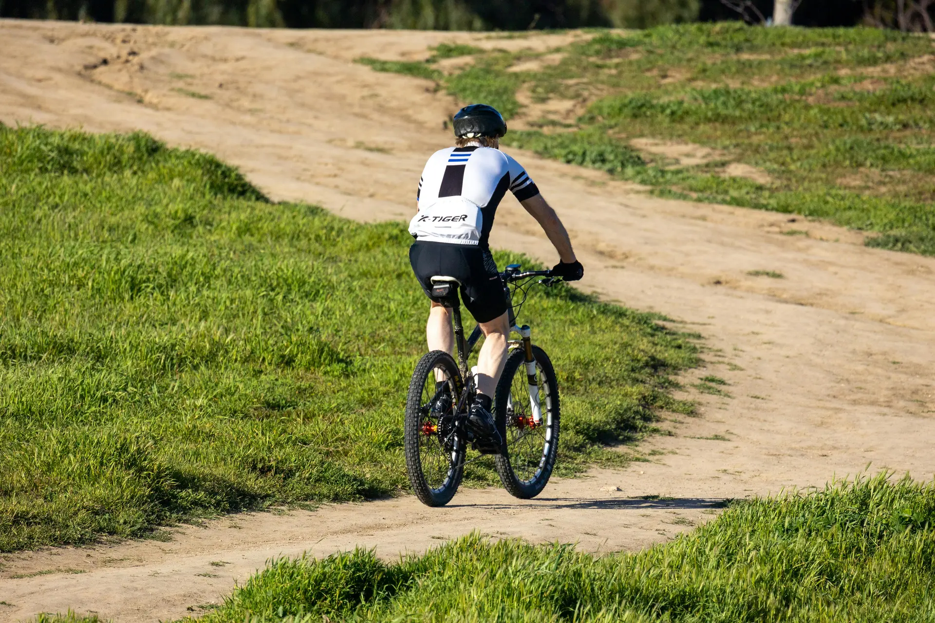 pexels-ninobur-15453840