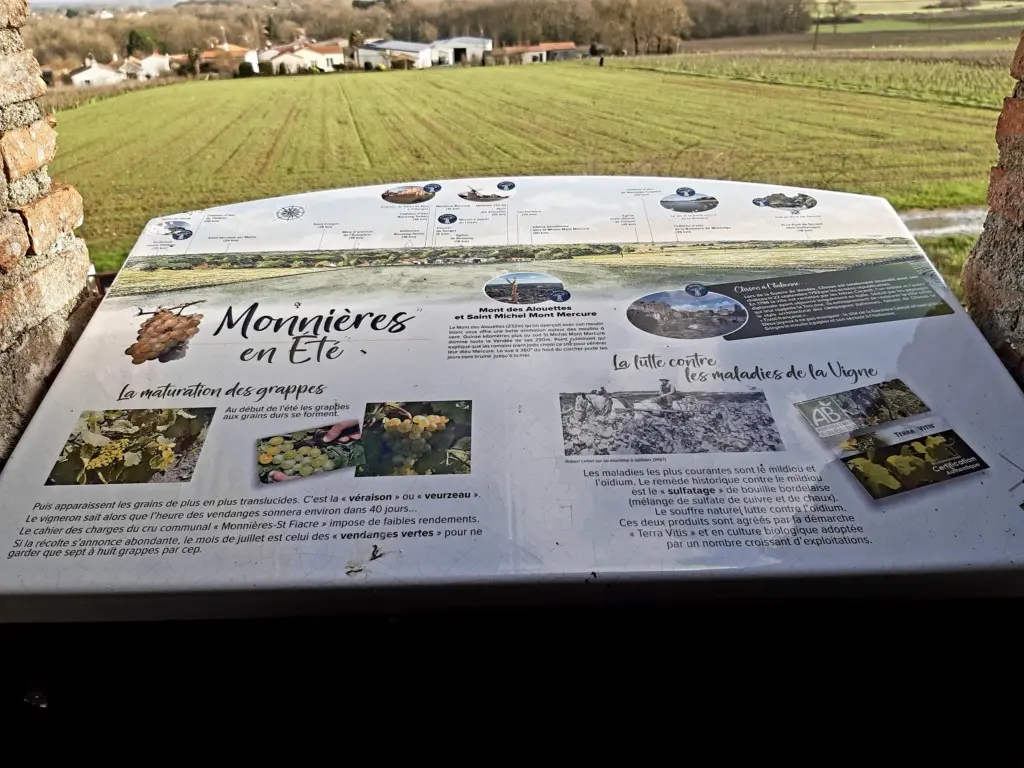 Point de vue au Moulin de la Minière à Monnières